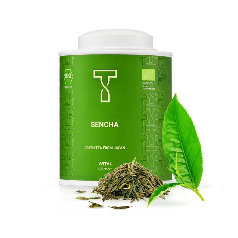 SENCHA