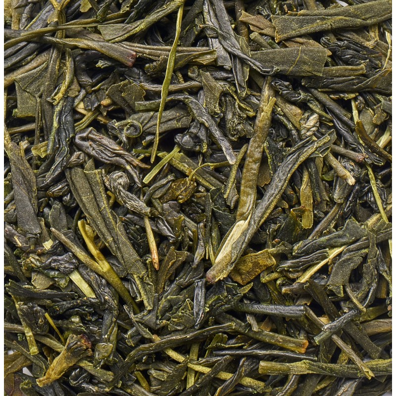 SENCHA