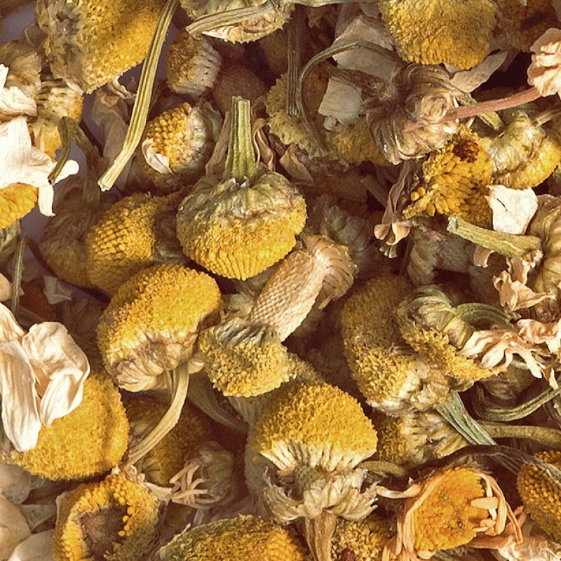 ORGANIC CAMOMILE