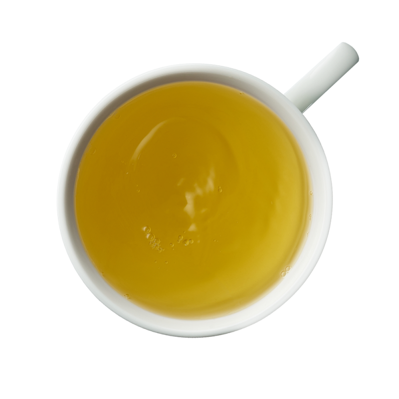 SENCHA